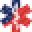 REE Medical Icon