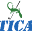 Tica Sport Icon