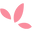 Sunny Wines Icon