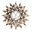 BRIGHCA Icon
