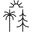 Palm & Pine Skincare Icon