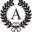 Accademia of Shoes Icon