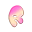 rashelle Icon