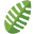 Botanics Dental Care Icon