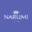 NARUMI Icon