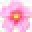 Flowers Of Enchantment Icon