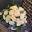 Bou-Kay's Newcastle Florist Icon