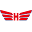 Hamer Airport Parking Icon