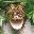 The Reptile Zone Icon