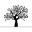 Parklands Dental Practice Icon