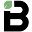 Bambu Icon