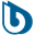 BWT Icon