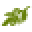 Olive Branch Icon