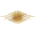 On The Glow Aesthetics MedSpa Icon