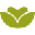 Mint Dental Loft Icon
