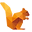 DataSquirrel Icon