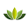 Simon's All Natural Soap Icon