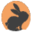 CodeRabbit Icon