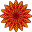 Sunshine Bromeliads Icon