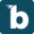 Birdie Icon