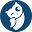 Diffblue Icon