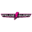 Veloz Audio Icon