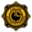 Custom Security Systems Icon