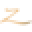 Ron Zacapa Icon