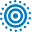 Polinode Icon