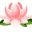 Naturalfragrance Icon
