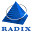 Radixweb Icon