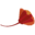 Poppies Icon