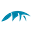 Takomo Icon