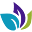 TaroWorks Icon