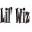 Lilwiz Icon