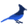 Prestavi Icon