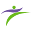 netstride Icon