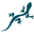 Chaco USA Icon