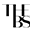 THEBS Icon