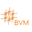 BVM Icon