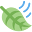 Lidia's Skin Care Studio Icon