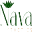 Nava Aesthetics Icon