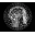Madison AI Icon