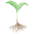 Bare Roots Salon Icon