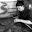 Lilygreenwood Icon