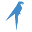 Traffic Parrot Icon