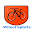 Wheel Sports Icon