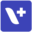 Vizlib Icon
