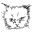 Thierry Colson Icon