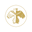 Eagle & Owl Icon